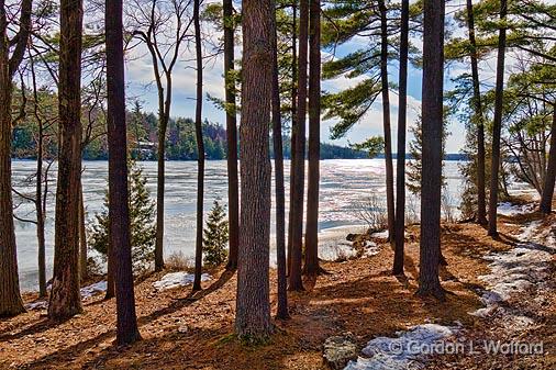 Lakeside Pines_05983.jpg - Indian Lake photographed along the Rideau Canal Waterway at 'The Isthmus' near Chaffeys Lock, Ontario, Canada.